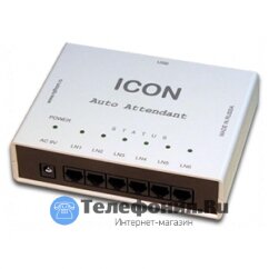 Автоинформатор ICON AN306USB